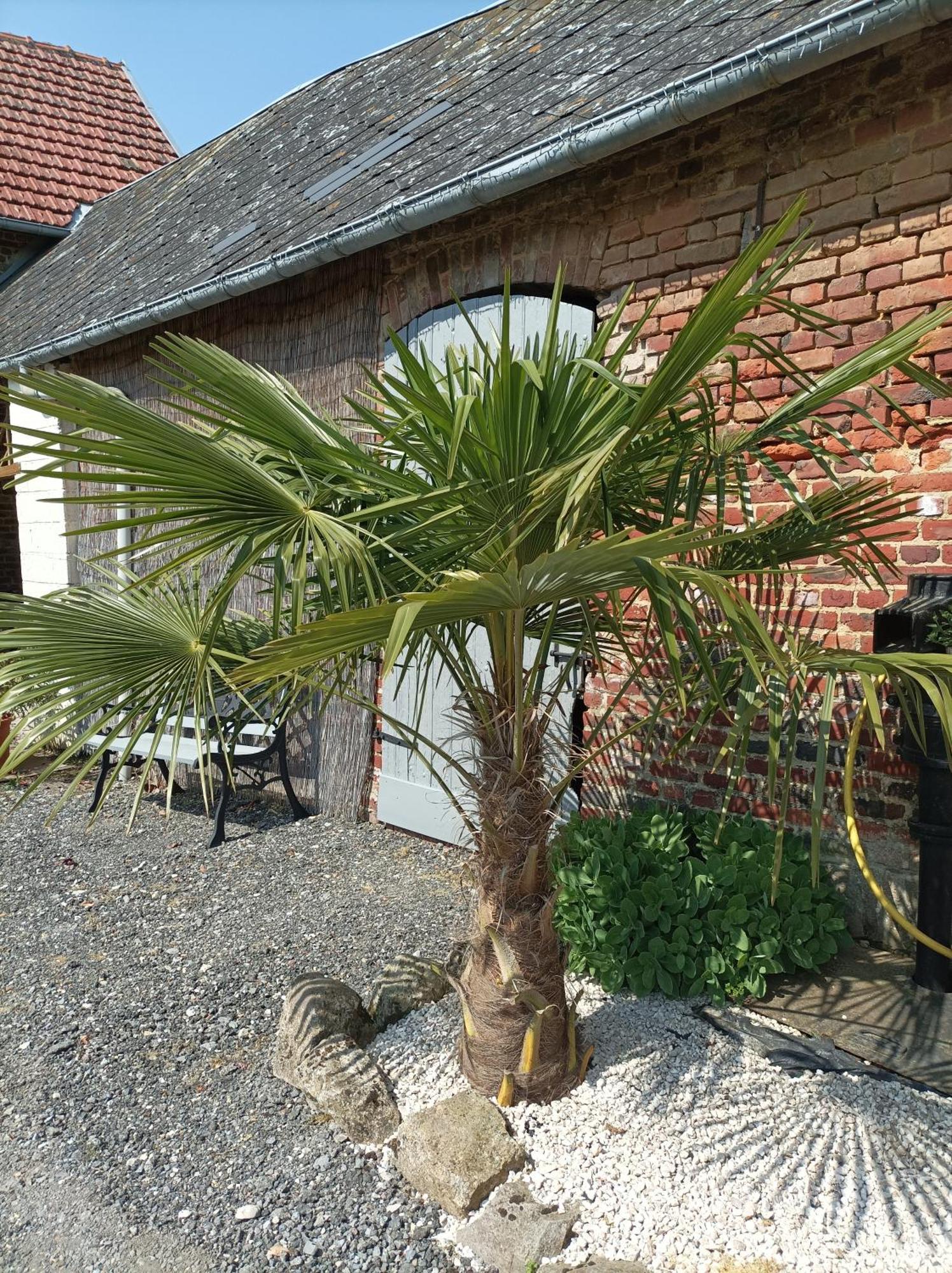Les Muches Bed & Breakfast Bouzincourt Exterior photo